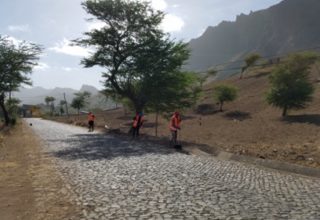 Economic Analysis and Evaluation of the Roads and Bridges Activity in Cabo Verde