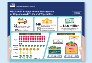 USDA Publishes Econometrica Report About Pilot to Help Schools Access Fruits and Vegetables for School Meals