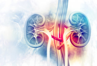 Kidney Health Executive Order Policy Review